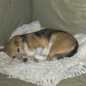 Meet your Posher, Deborah